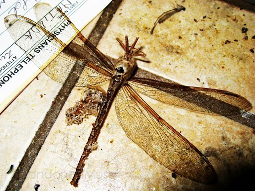 nursing home - (15).jpg